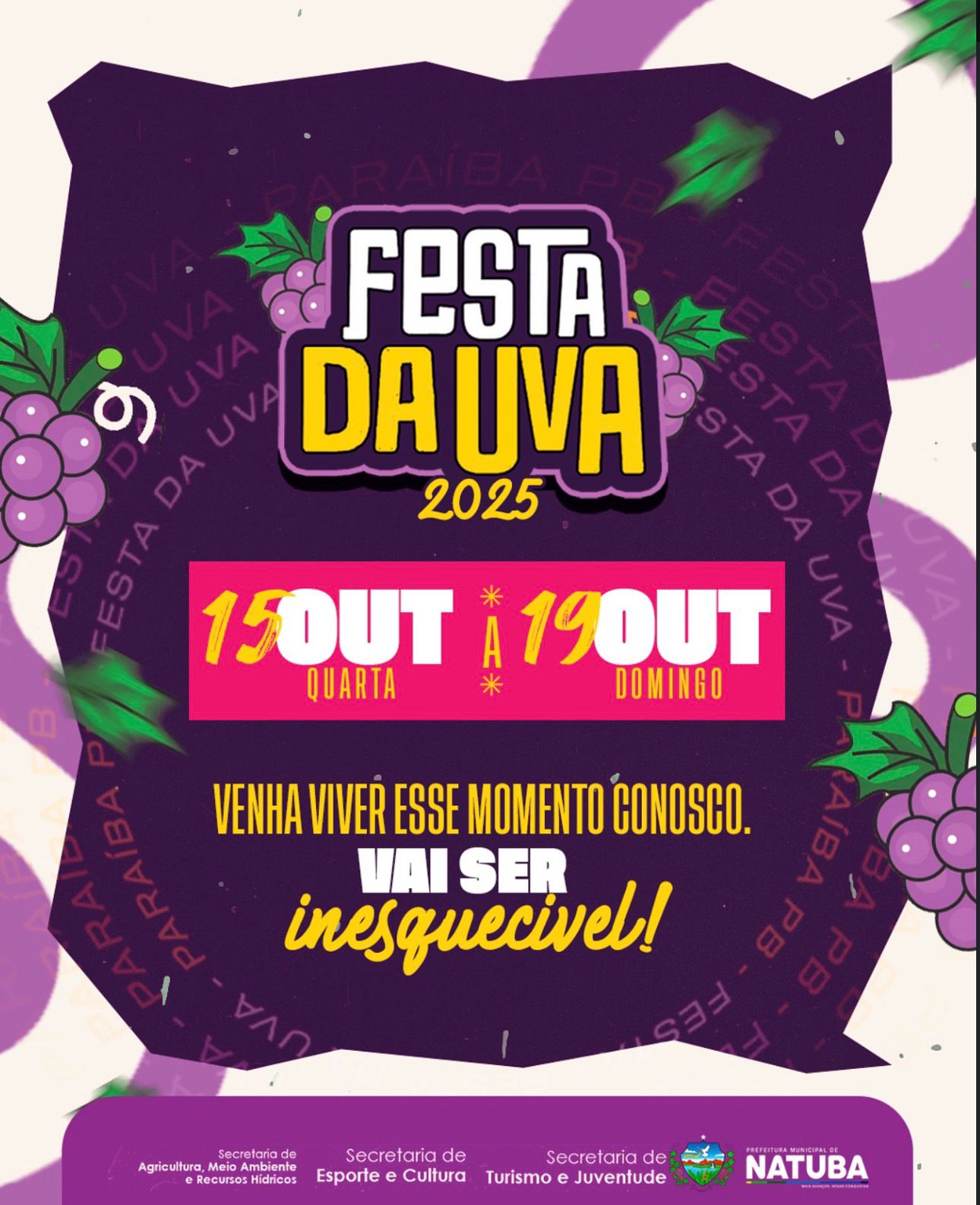 FESTA DA UVA
